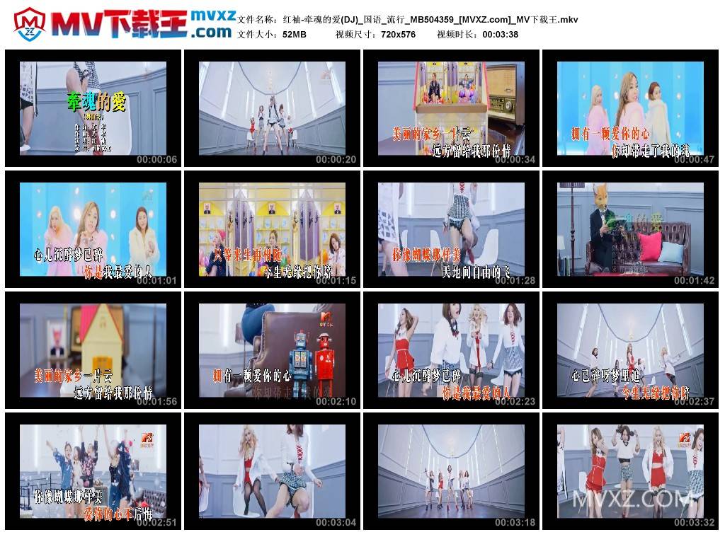 红袖-牵魂的爱(DJ)_国语_流行_MB504359